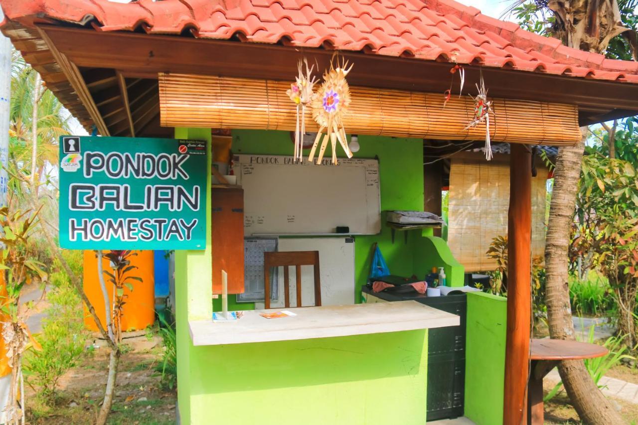Balian Accommodatie bij particulieren Selemadeg (Bali)